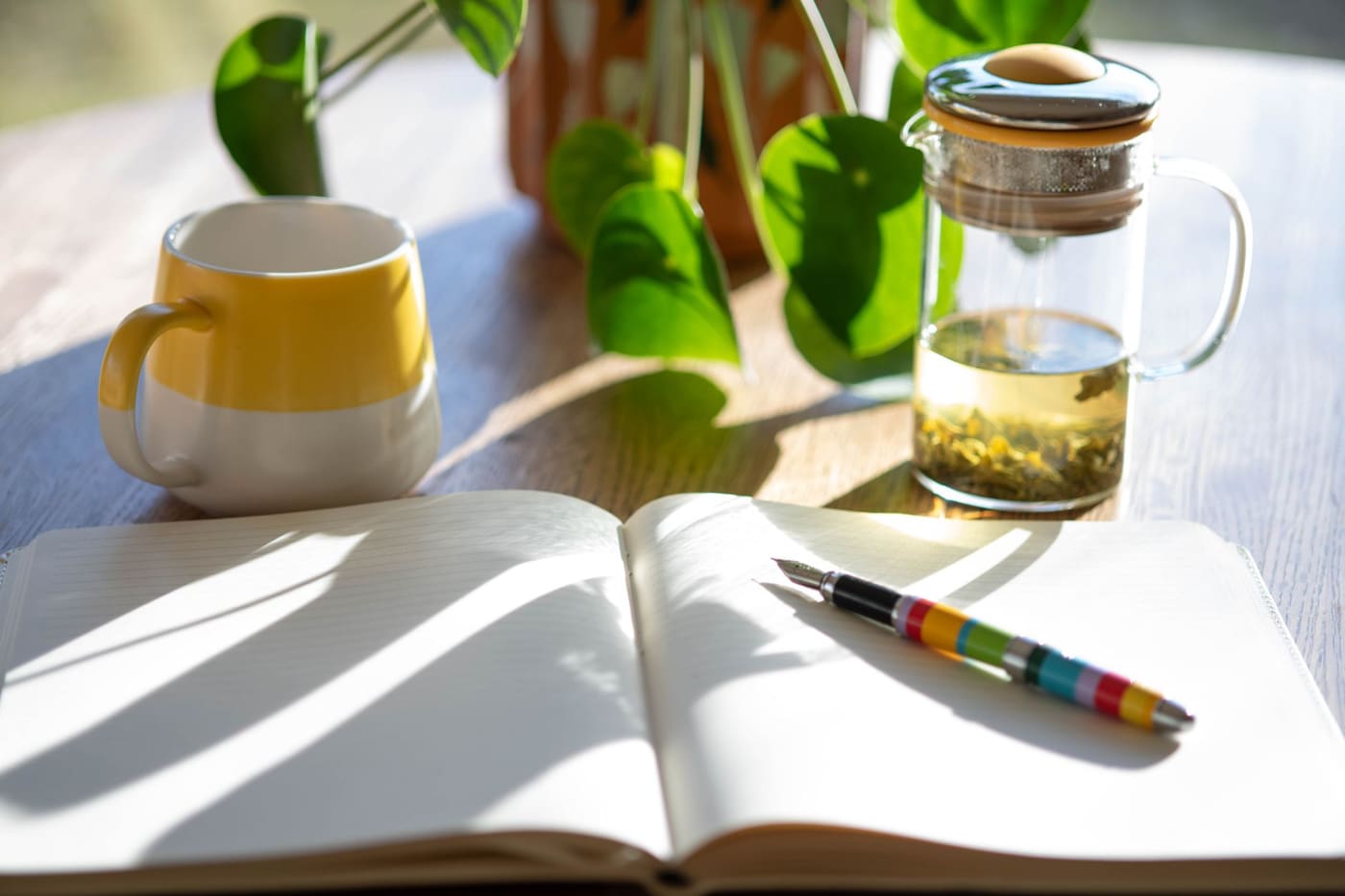An open notebook with a pen, a mug and a glass tea pot on a sunlit desk beside green leaves