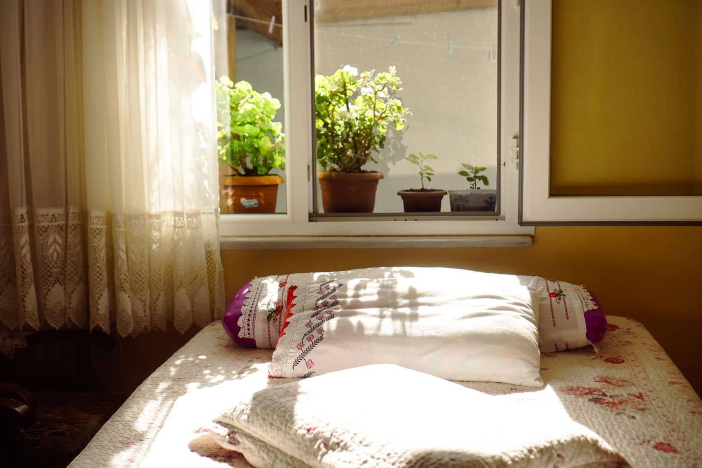 A single bed under a window with sunlight, curtains and small potted plants on the sill